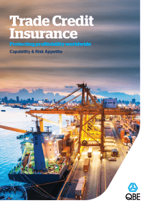 Trade Credit Capability and Risk Appetite brochure