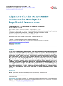 Adjunction of Avidin to a Cysteamine Self