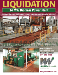 24 MW Biomass Power Plant