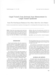 Carpal Tunnel Cross Sectional Area Measurement In Carpal Tunnel
