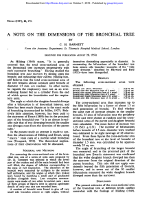 a note on the dimensions of the bronchial tree