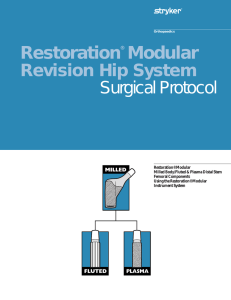 Restoration® Modular Revision Hip System Flute Plate