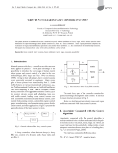 WHAT IS NOT CLEAR IN FUZZY CONTROL SYSTEMS? 1