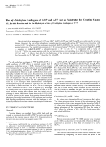 The αβ-Methylene Analogues of ADP and ATP Act as Substrates for