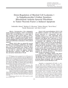 Down-Regulation of Myeloid Cell Leukemia 1 by Epigallocatechin