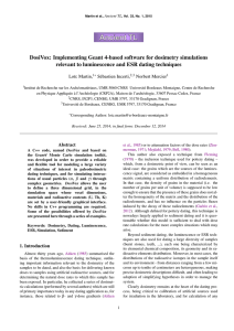 DosiVox: Implementing Geant 4-based software for dosimetry