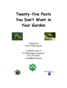 Twenty-five Pests You Don`t Want in Your Garden