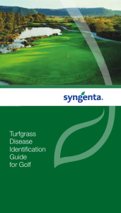 Turfgrass Disease Identification Guide for Golf