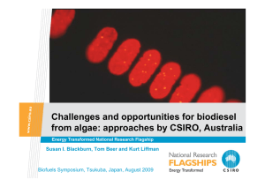 Ch ll d t iti f bi di l Challenges and opportunities for biodiesel