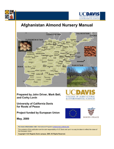 Afghan Almond Nursery Manual, produced by UC