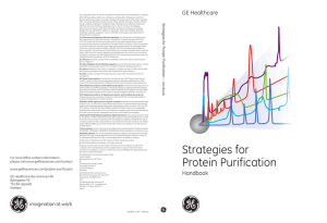 Strategies for Protein Purif ication