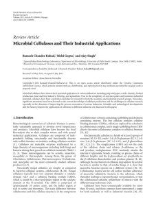 Microbial Cellulases and Their Industrial Applications