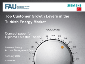 Top Customer Growth Levers in the Turkish Energy Market