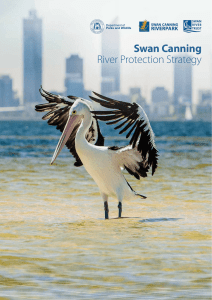 Swan Canning River Protection Strategy