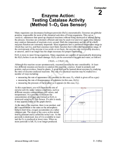 Enzyme Action: Testing Catalase Activity
