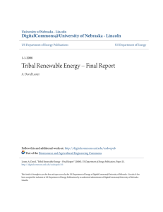 Tribal Renewable Energy – Final Report