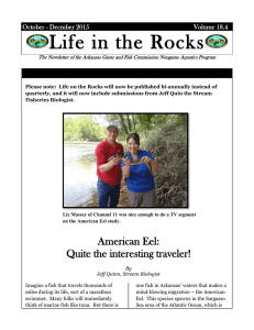 Jan 2016 | Life in the Rocks Newsletter