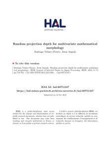 Random projection depth for multivariate mathematical