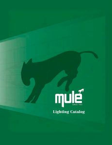 Mule Lighting Catalog