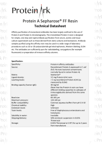 Protein A Sepharose FF Resin - Technical Datasheet