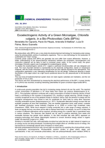 Exoelectrogenic Activity of a Green Microalgae, Chlorella