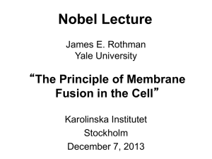 James E. Rothman - Nobel Lecture slides