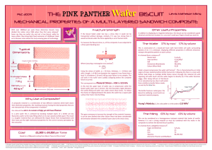 THE PINK PANTHER Wafer BISCUIT