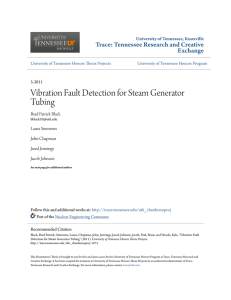 Vibration Fault Detection for Steam Generator Tubing
