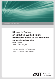 Ultrasonic Testing on EUROFER Welded Joints for Determination of