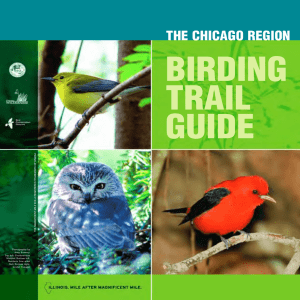 birding_guide_finalsingle