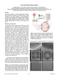 A Curvable Silicon Retinal Implant