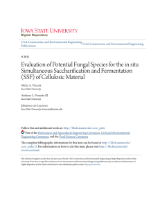 Evaluation of Potential Fungal Species for the in situ Simultaneous