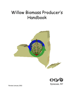 Willow biomass producer`s handbook (SUNY-ESF)