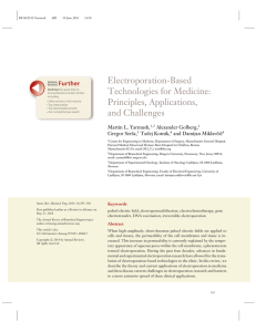 Electroporation-Based Technologies for Medicine: Principles