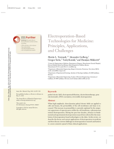 Electroporation-Based Technologies for Medicine: Principles