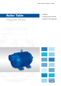 Roller Table Induction Motor