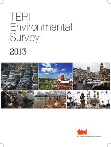 Environmental Survey 2013