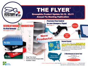 the flyer - Flystuff