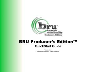 BRU PE QuickStart Guide - Microstar