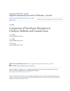 Comparison of Nicarbazin Absorption in Chickens, Mallards, and