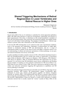 Shared Triggering Mechanisms of Retinal Regeneration in