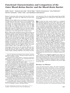 Functional Characterization and Comparison of the Outer Blood