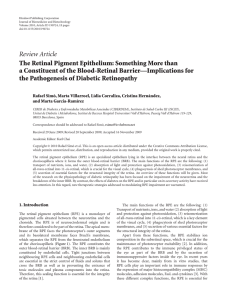 The Retinal Pigment Epithelium: Something More than a Constituent