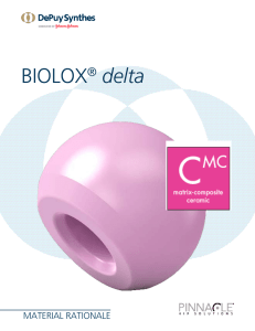 Biolox Delta Ceramic Folder