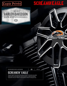 Parts and Accessories 2015 Screamin Eagle - Passion
