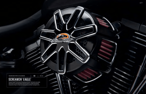 Screamin` Eagle - Road and Sport Harley