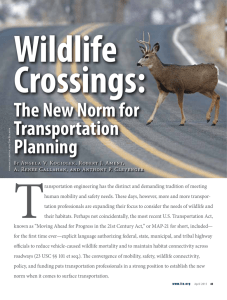The New Norm for Transportation Planning