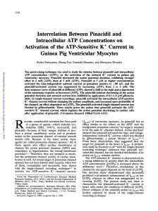 Interrelation Between Pinacidil and Intracellular ATP Concentrations
