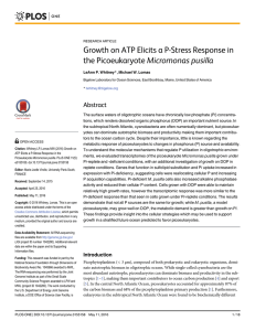 Growth on ATP Elicits a P-Stress Response in the