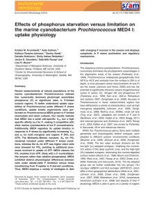 uptake physiology - The Rocap Lab